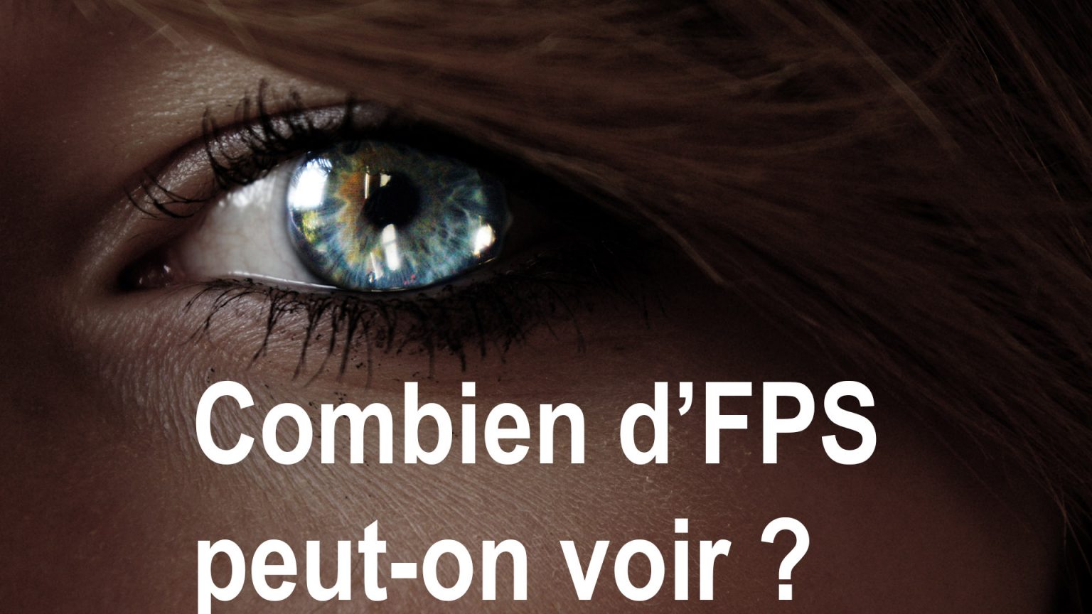 Combien Faut Il De Mo Pour Faire Un Go Tutoriaux – TeraGeek